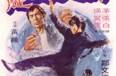 铁掌旋风腿剧情介绍