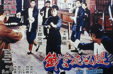 铁掌旋风腿剧情介绍