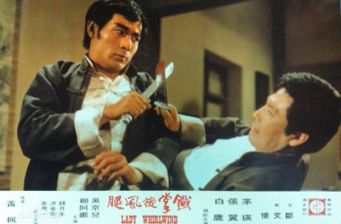 铁掌旋风腿剧情介绍