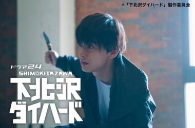 下北泽之虎胆龙威剧照