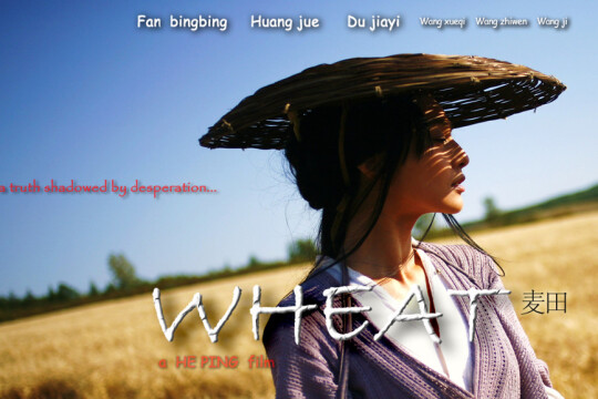 电影长平大战之麦田