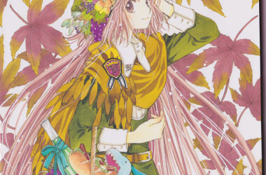 奇迹少女小鸠剧情介绍(1-24全集)