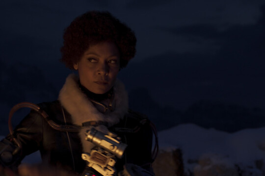 桑迪·牛顿个人资料