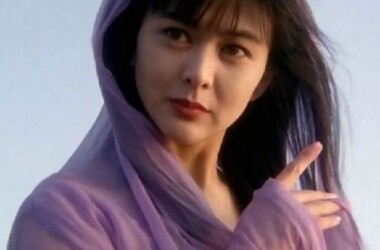 九二神雕之痴心情长剑(1992 电影)