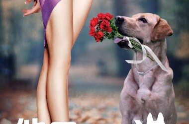 他是一只狗(电影)