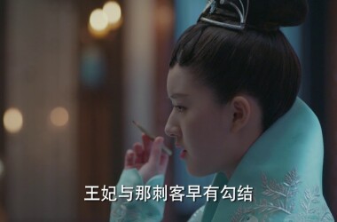 马雪云是谁演的,马雪云扮演者,凤囚凰马雪云_电视猫