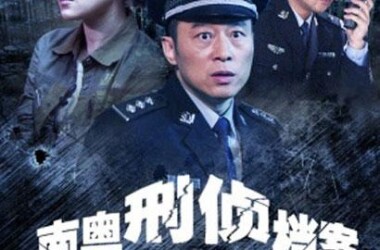 南粤刑侦档案(电影)
