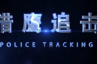 猎鹰追击(电影)