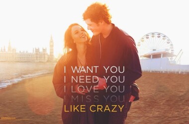 电影爱疯了,爱疯了剧情简介_电视猫