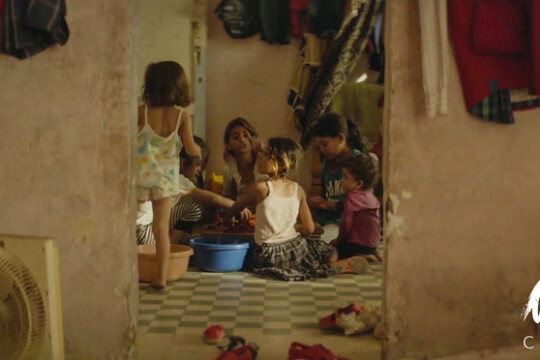 何以为家演员表