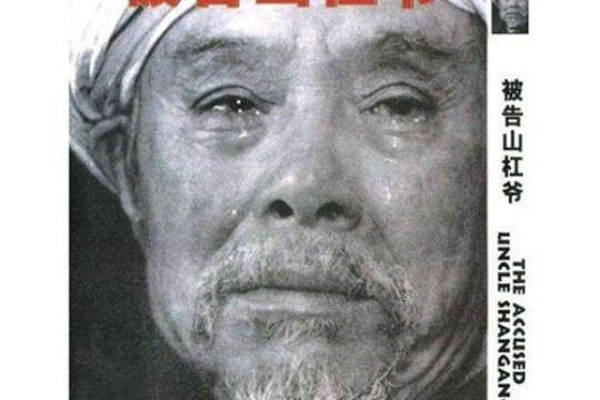 电影被告山杠爷