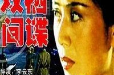 双栖间谍(电影)