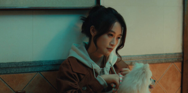 ҹɫ��Ũ��20������