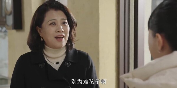 乡村爱情18第29集剧照