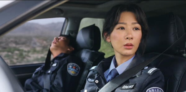 ��������26������