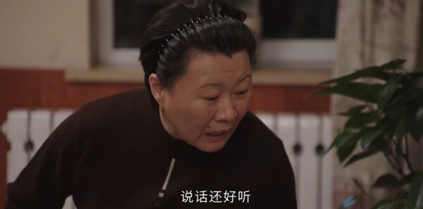 乡村爱情18第21集剧照