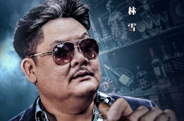 猎仇者演员表老陈(林雪饰)_电视猫