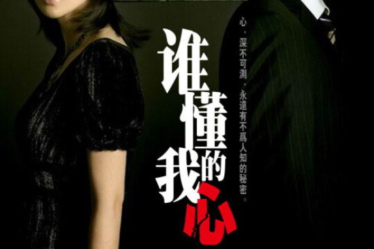 谁懂我的心剧情介绍第28-30集_电视猫