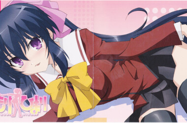 守护猫娘绯鞠分集剧情 第10集