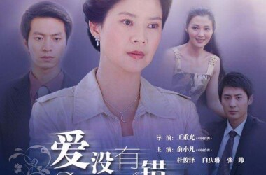 爱没有错分集剧情剧照