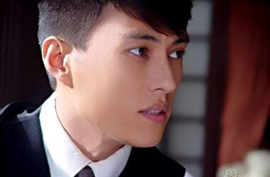 叶子把大聂等人的行为与岳振声对比,来劝说苏冠贤.