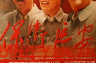 保卫延安剧情