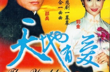 天地有爱剧情介绍(1-28全集)_电视剧_电视猫
