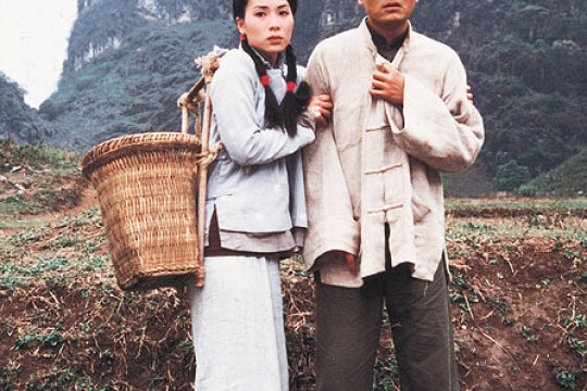 茶是故乡浓剧情