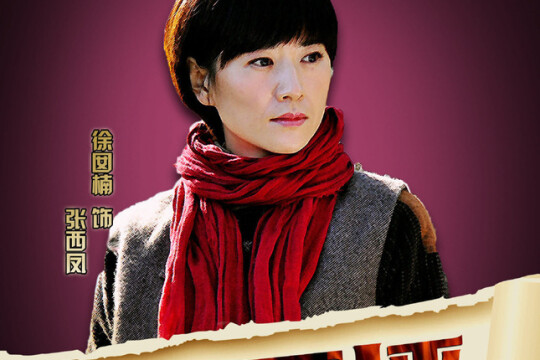 张西凤的剧照 全部(1)