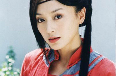 龙票剧情介绍第25-27集_电视猫