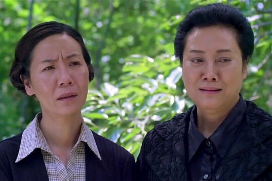 港媳嫁到播出时间