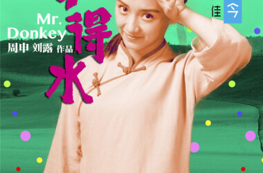 孙佳是谁演的,孙佳扮演者,驴得水孙佳_电视猫