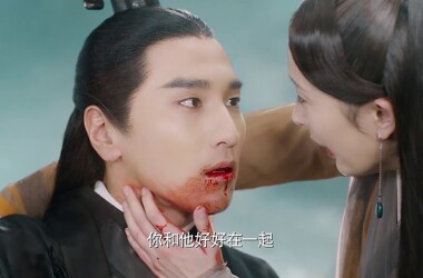 夜华是谁演的,夜华扮演者,三生三世十里桃花夜华_电视猫