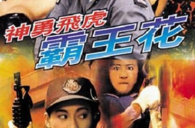 神勇飞虎霸王花播出时间