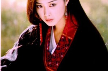 天龙八部角色木婉清(蒋欣饰),木婉清人物关系图_电视猫