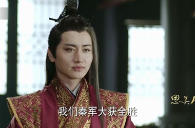 张仪是谁演的,张仪扮演者,思美人张仪_电视猫