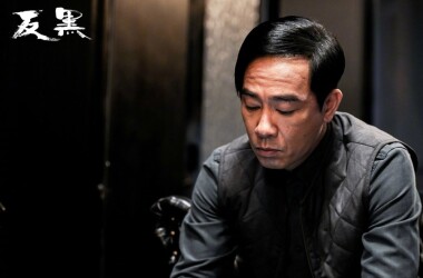 反黑分集剧情(30全集)大结局_电视猫